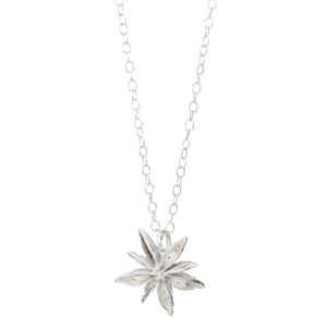 Star Anise Silver Pendant by Fiona Hutchinson